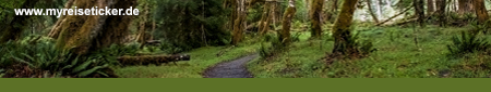 Hoh Rainforest- Washington