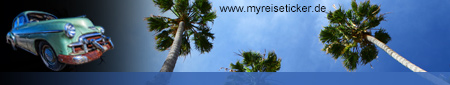 Palm Trees - Santa Monica, California