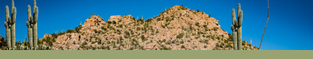 Saguaro Nationalpark - Tucson,Arizona