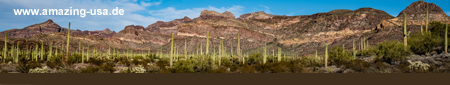 Organ Pipe Cactus National Monument - Ajo, Arizona