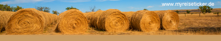 Hay harvest - South Dakota